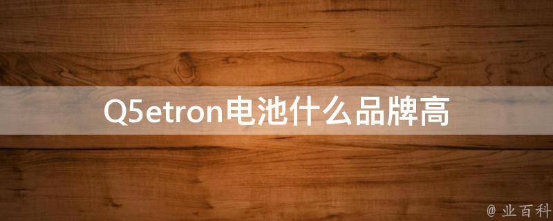 Q5etron电池什么品牌(高性能电池推荐)