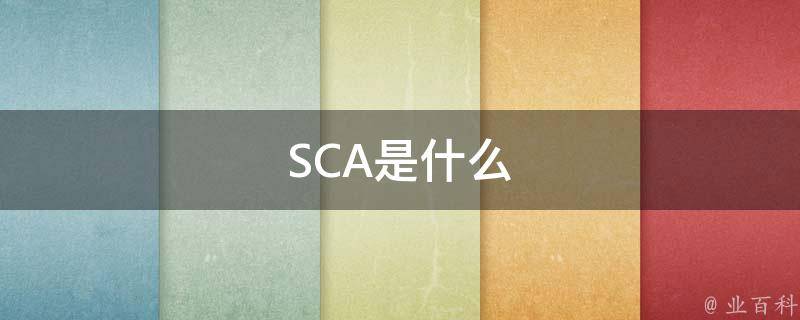 SCA是什么 