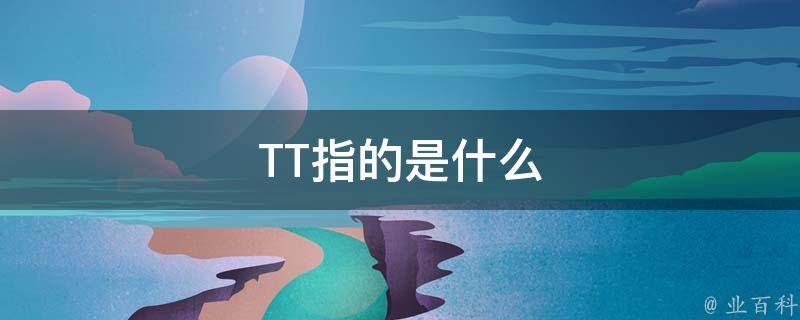 TT指的是什么 