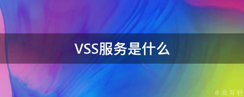 VSS服务是什么 