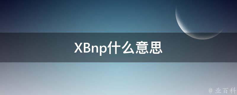 XBnp什么意思 