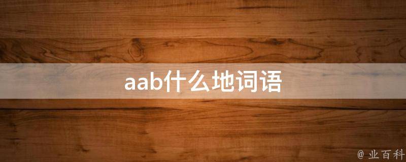 aab什么地词语 