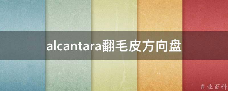 alcantara翻毛皮方向盘_安装教程+清洗保养技巧