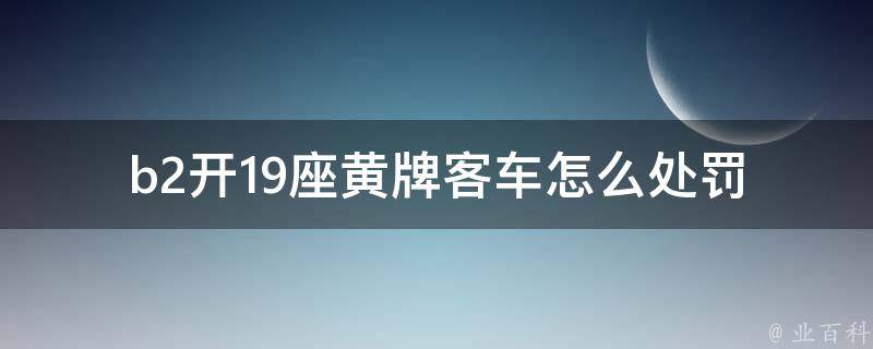 b2开19座黄牌客车怎么处罚(详解交通违法罚款标准)