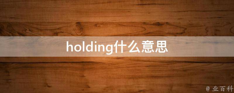 holding什么意思 