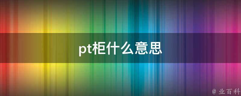 pt是什么意思图片