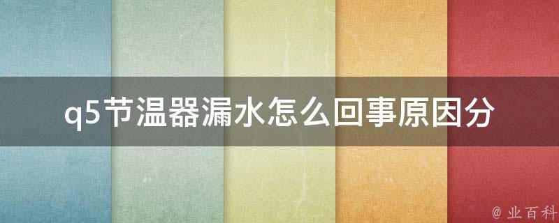 q5节温器漏水怎么回事_原因分析及解决方法