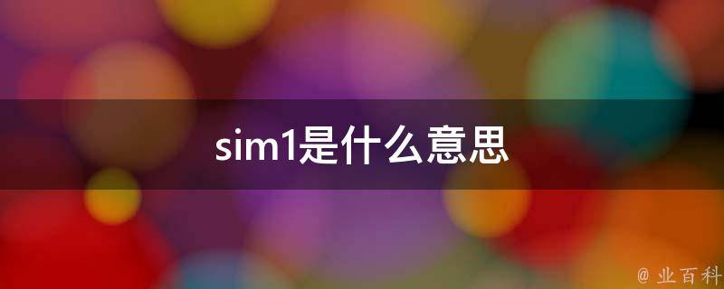 sim1是什么意思 