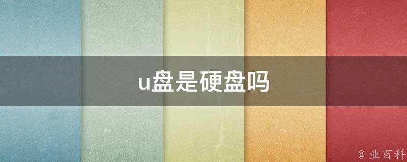 u盘是硬盘吗 