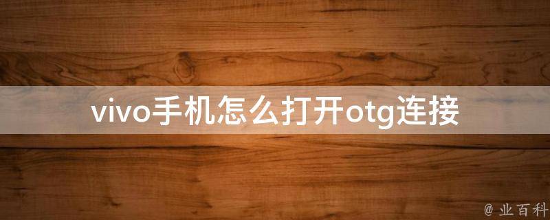 vivo手机怎么打开otg连接mp3_详解vivo手机连接otg的方法与步骤