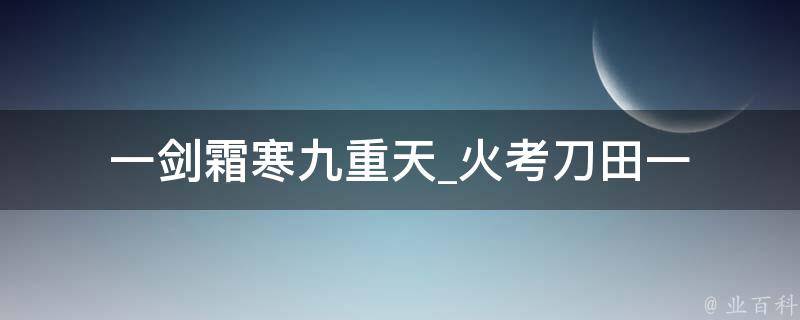 一剑霜寒九重天