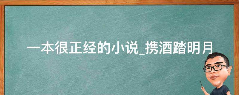 一本很正经的小说