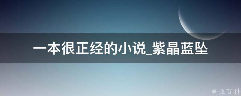 一本很正经的小说