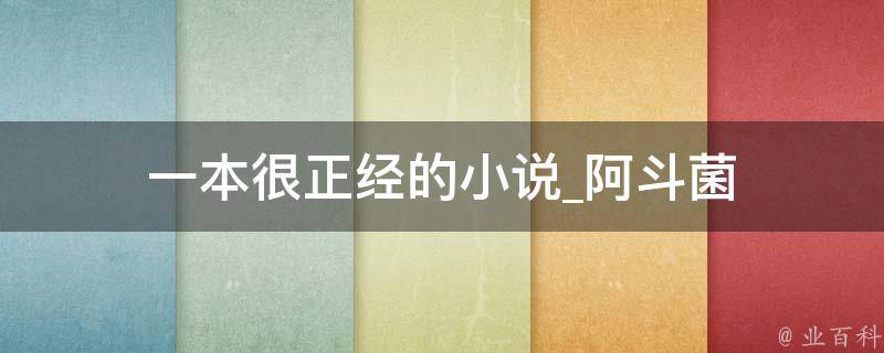 一本很正经的小说