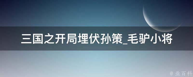 三国之开局埋伏孙策