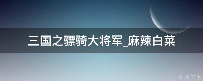 三国之骠骑大将军