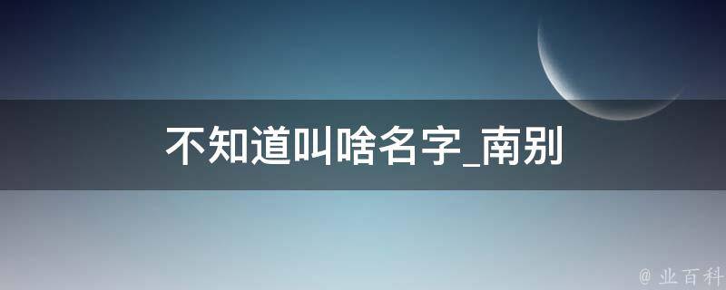 不知道叫啥名字