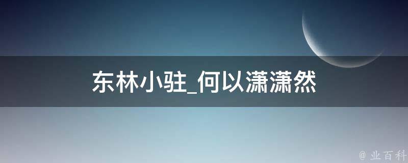 东林小驻