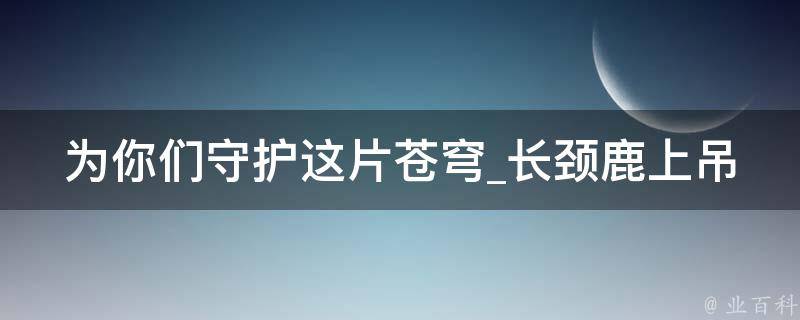 为你们守护这片苍穹