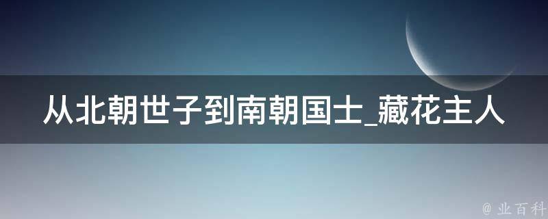 从北朝世子到南朝国士