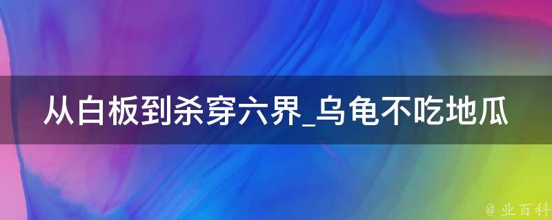 从白板到杀穿六界