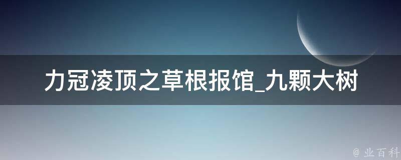 力冠凌顶之草根报馆