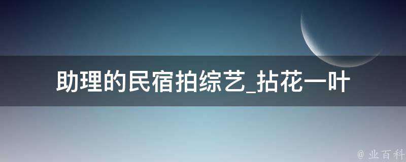 助理的民宿拍综艺