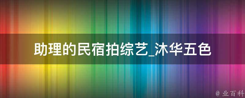 助理的民宿拍综艺