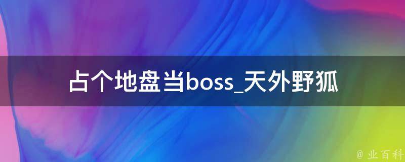 占个地盘当boss