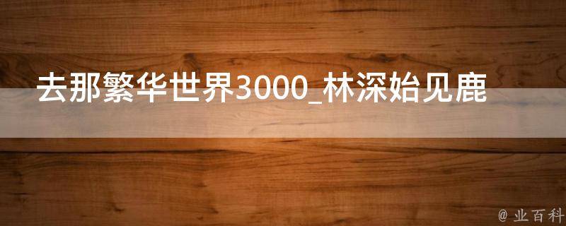 去那繁华世界3000