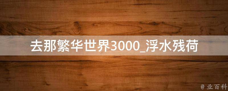 去那繁华世界3000