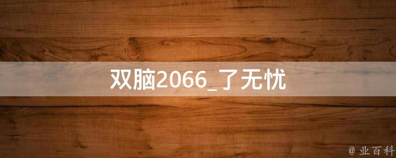 双脑2066