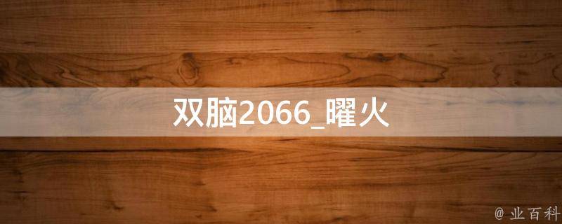 双脑2066