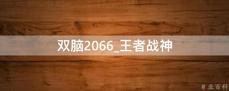 双脑2066