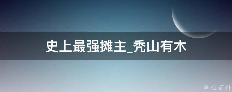 史上最强摊主