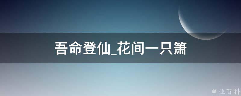 吾命登仙