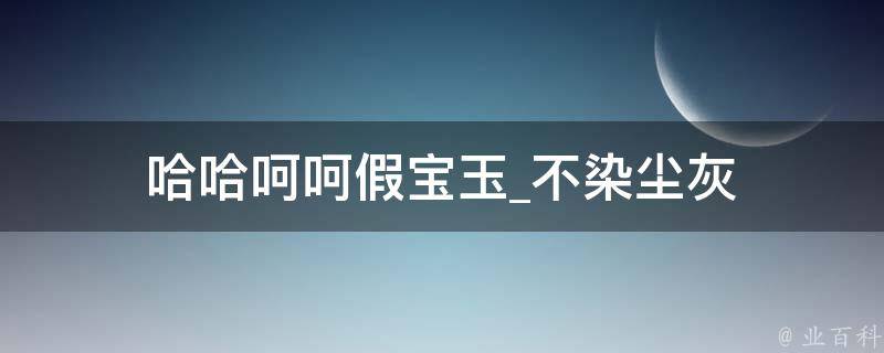 哈哈呵呵假宝玉