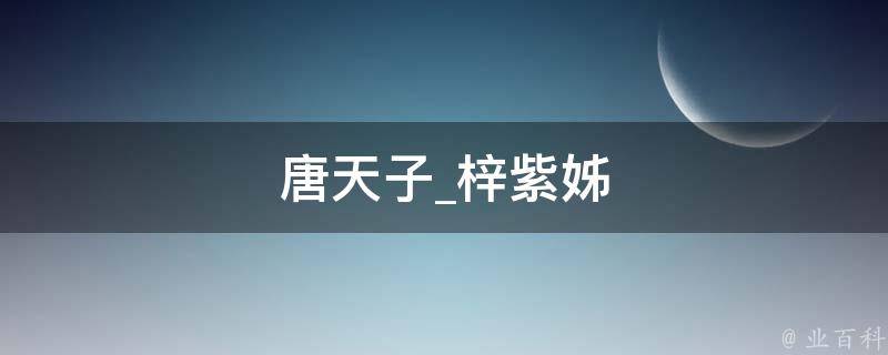 唐天子