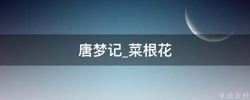 唐梦记