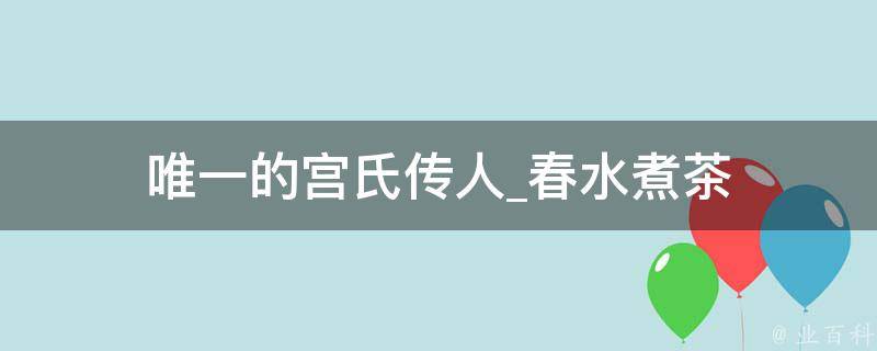 唯一的宫氏传人