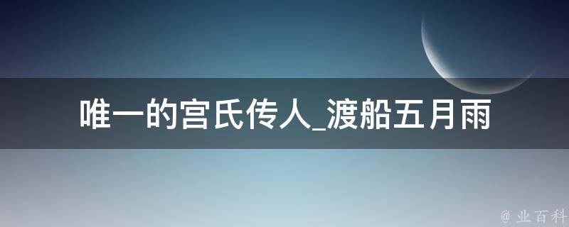 唯一的宫氏传人