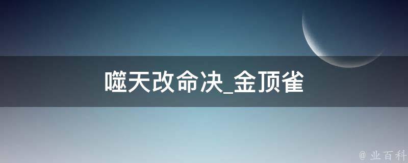 噬天改命决