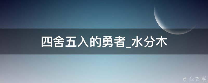 四舍五入的勇者