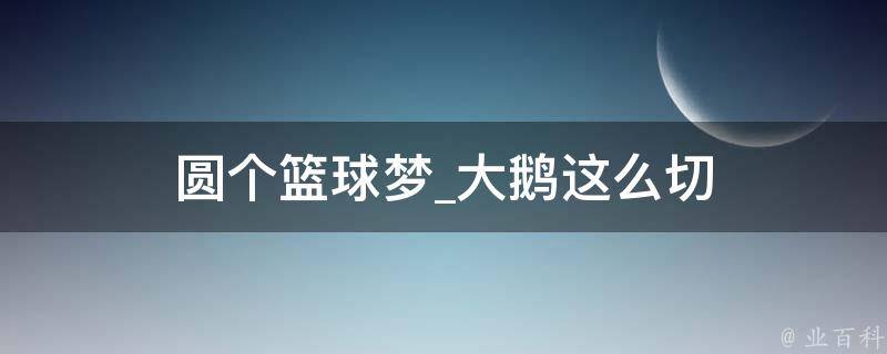 圆个篮球梦