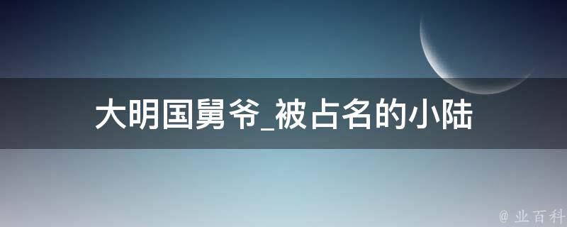 大明国舅爷