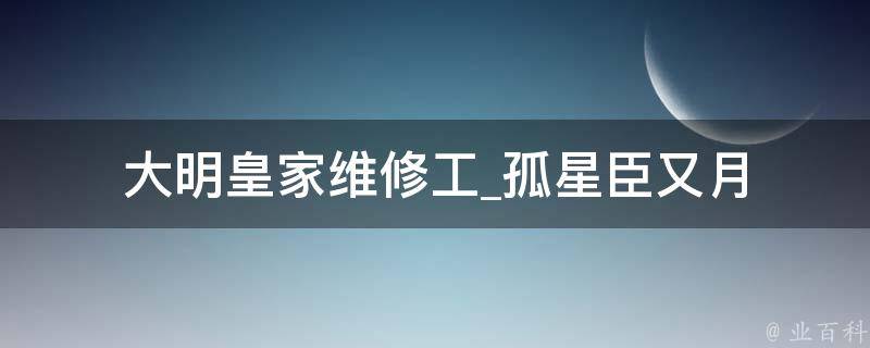 大明皇家维修工