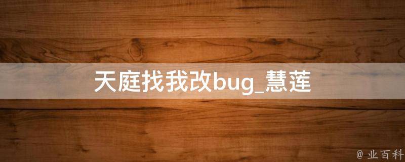 天庭找我改bug