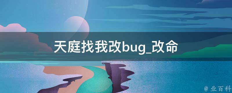 天庭找我改bug