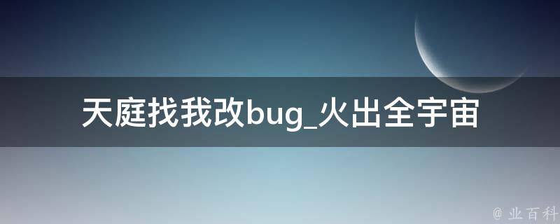 天庭找我改bug