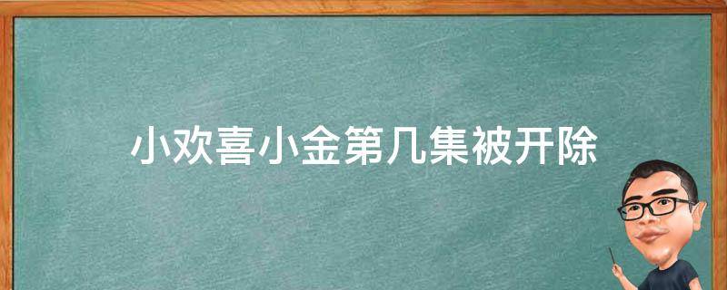 小欢喜小金第几集被开除